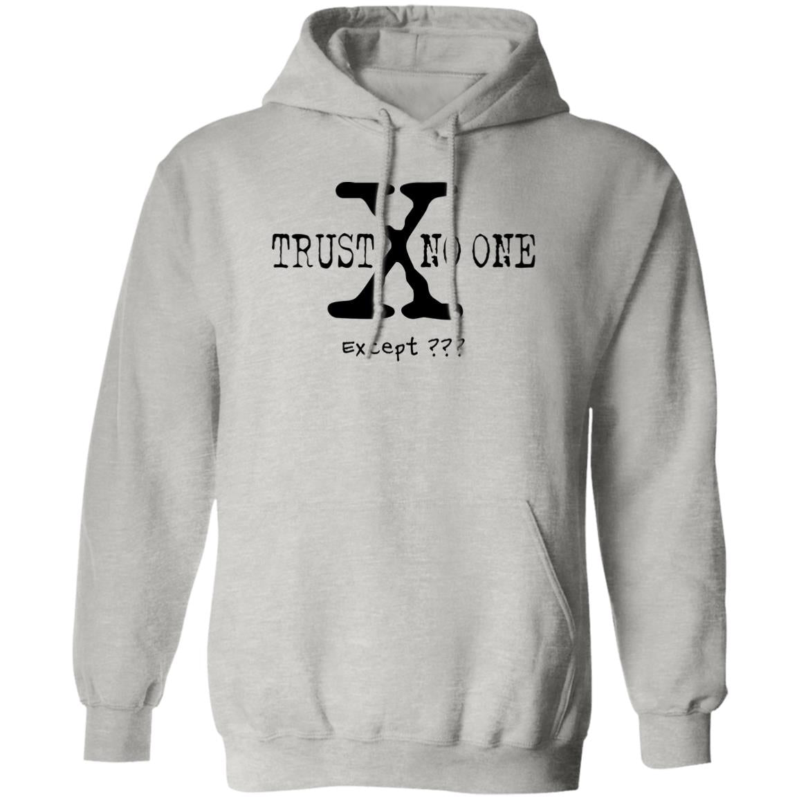 Trust No One (Except *YOUR TEXT HERE*) 8oz Pullover Hoodie (Black Text)