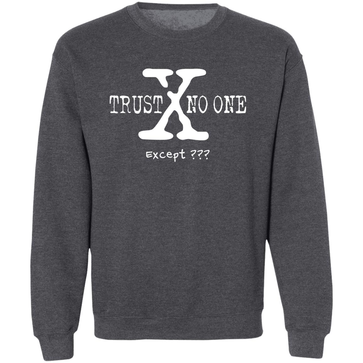 Trust No One (Except *YOUR TEXT HERE*) Pullover Crewneck Sweatshirt 8 oz (White Text)